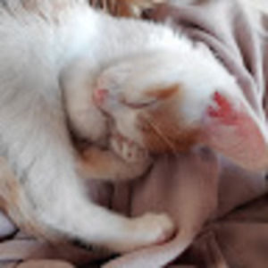 Meet your Posher, Lilly